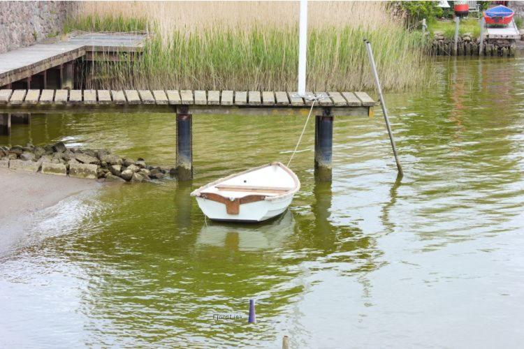 Hausboot Fjord Ankerplatz Mit Biosauna In Schleswig Exterior photo